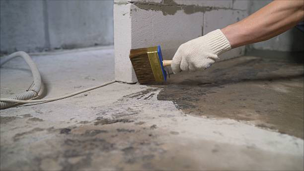 24/7 Emergency Exterior Waterproofing experts in Plymouth, NC